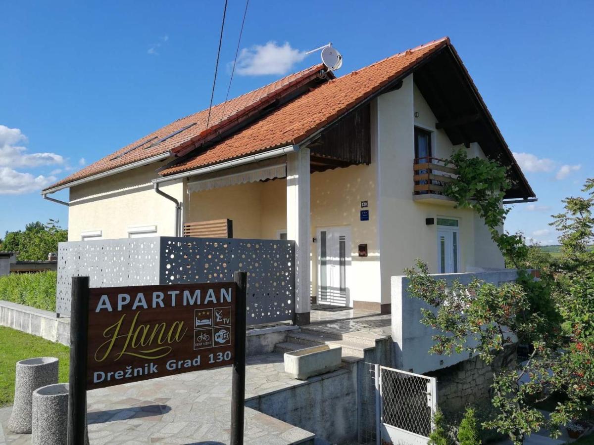 Apartman Hana Leilighet Drežnik Grad Eksteriør bilde
