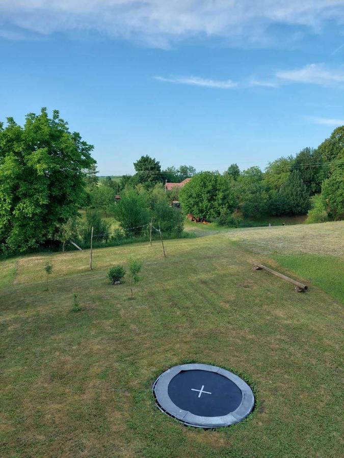 Apartman Hana Leilighet Drežnik Grad Eksteriør bilde