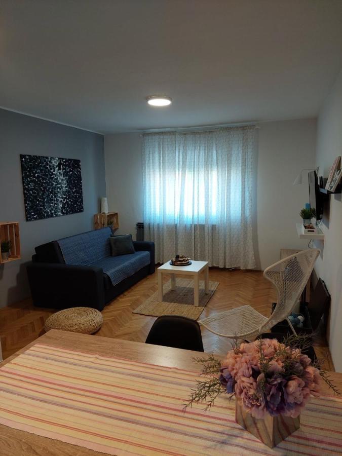 Apartman Hana Leilighet Drežnik Grad Eksteriør bilde