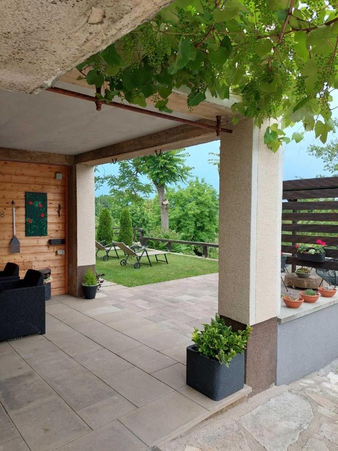 Apartman Hana Leilighet Drežnik Grad Eksteriør bilde