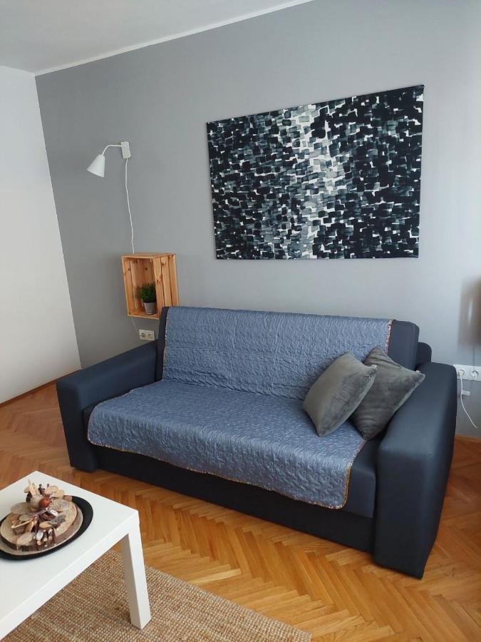 Apartman Hana Leilighet Drežnik Grad Eksteriør bilde