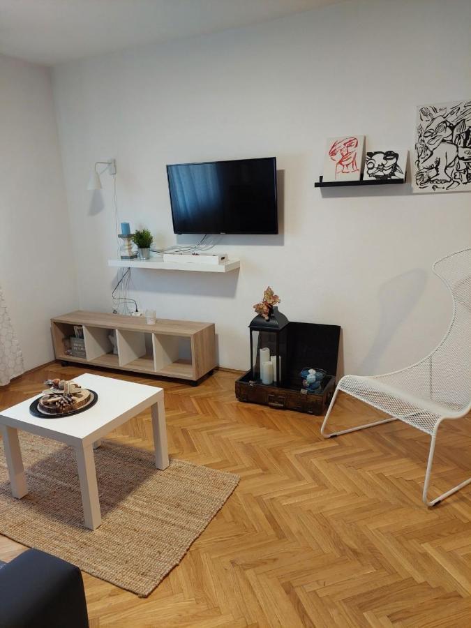 Apartman Hana Leilighet Drežnik Grad Eksteriør bilde