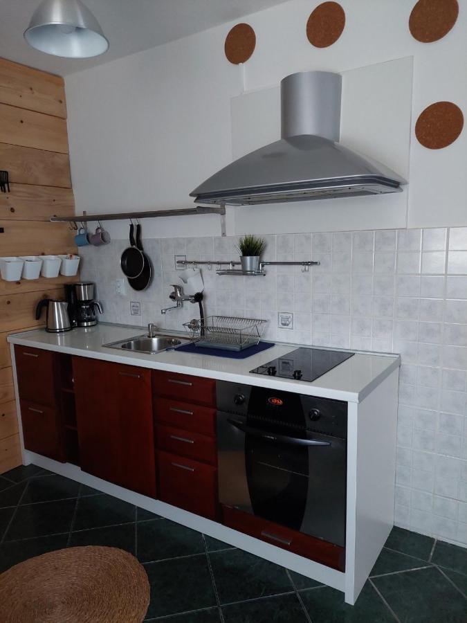 Apartman Hana Leilighet Drežnik Grad Eksteriør bilde