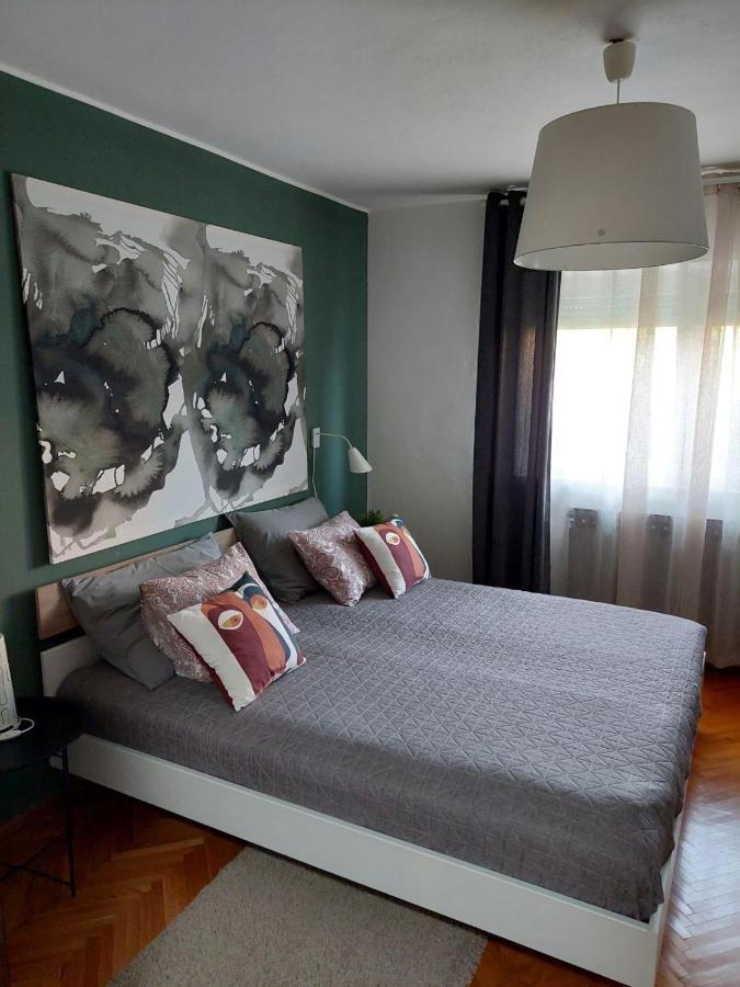 Apartman Hana Leilighet Drežnik Grad Eksteriør bilde