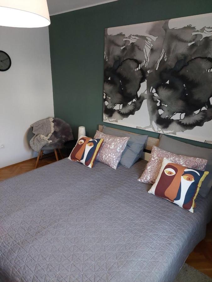 Apartman Hana Leilighet Drežnik Grad Eksteriør bilde