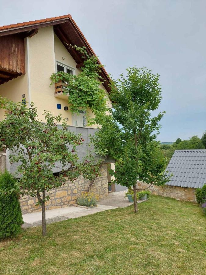 Apartman Hana Leilighet Drežnik Grad Eksteriør bilde