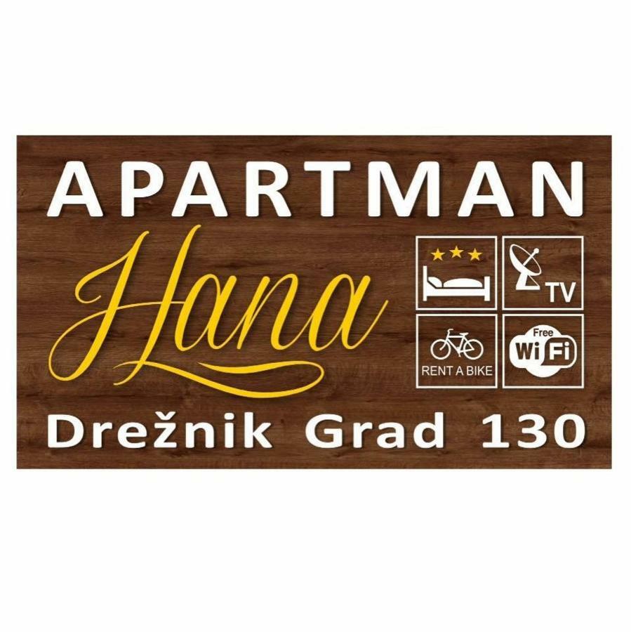 Apartman Hana Leilighet Drežnik Grad Eksteriør bilde